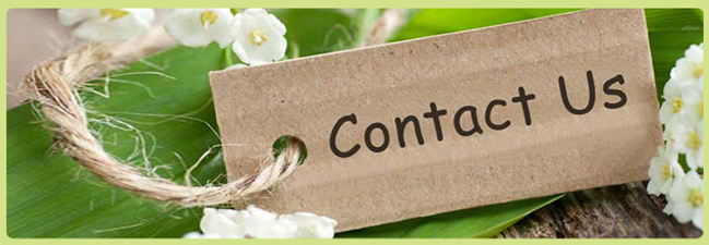 Ayurvedic herbs and healing ingredients
